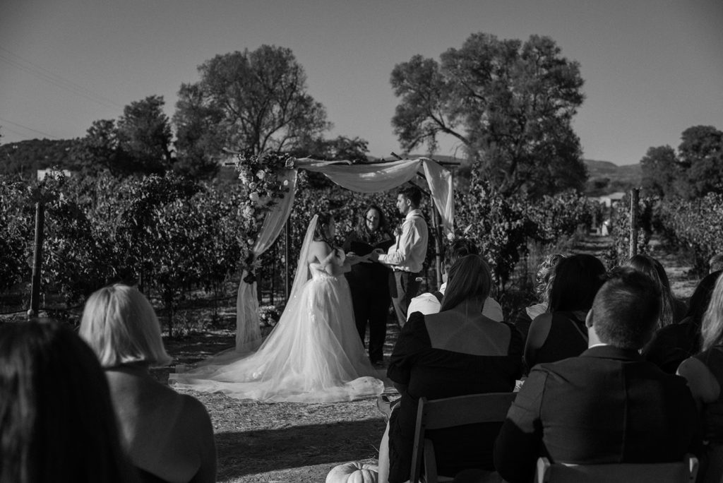 Sydney Jai Photography - Wedding ceremony, bride and groom exchanging rings