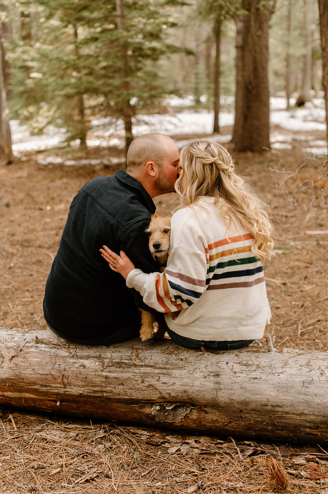 Sydney Jai Photography - Donner Lake engagement photos, engaged couple, forest engagement photos, dogs in engagement photos